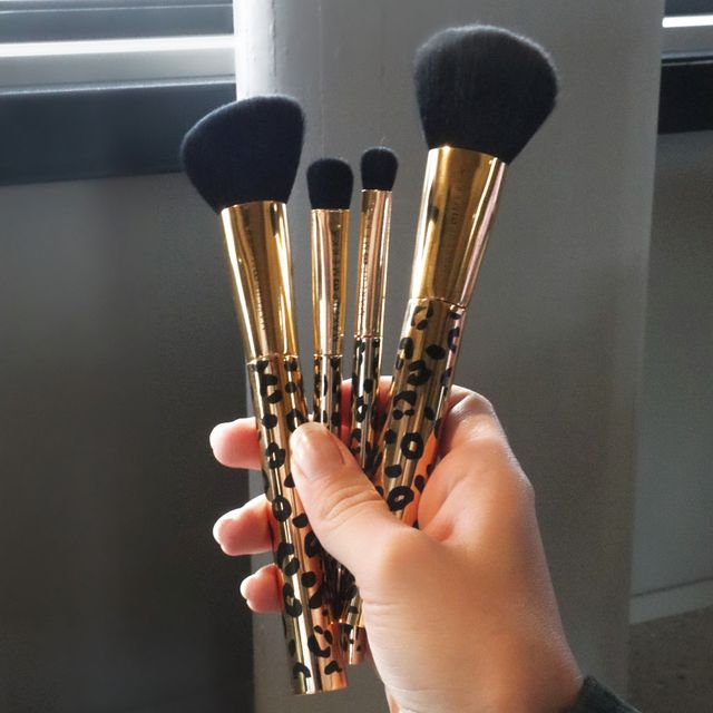Wilderness Brush set Wilderness Brush set